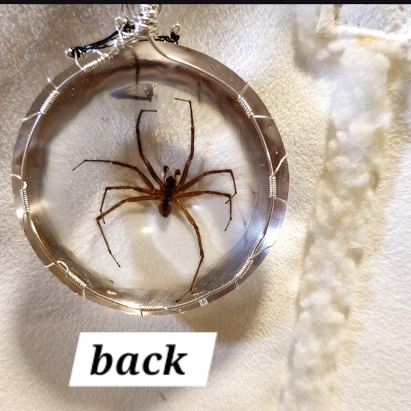 Silver Spider Pendant Necklace - Picture 5 of 7